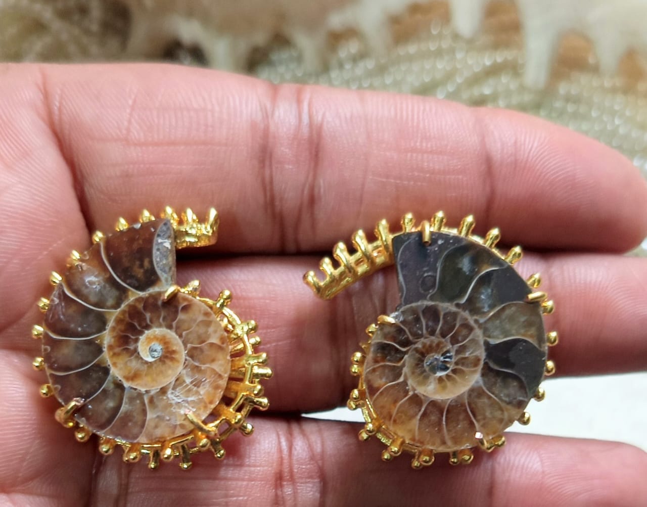 Ammonite Earring