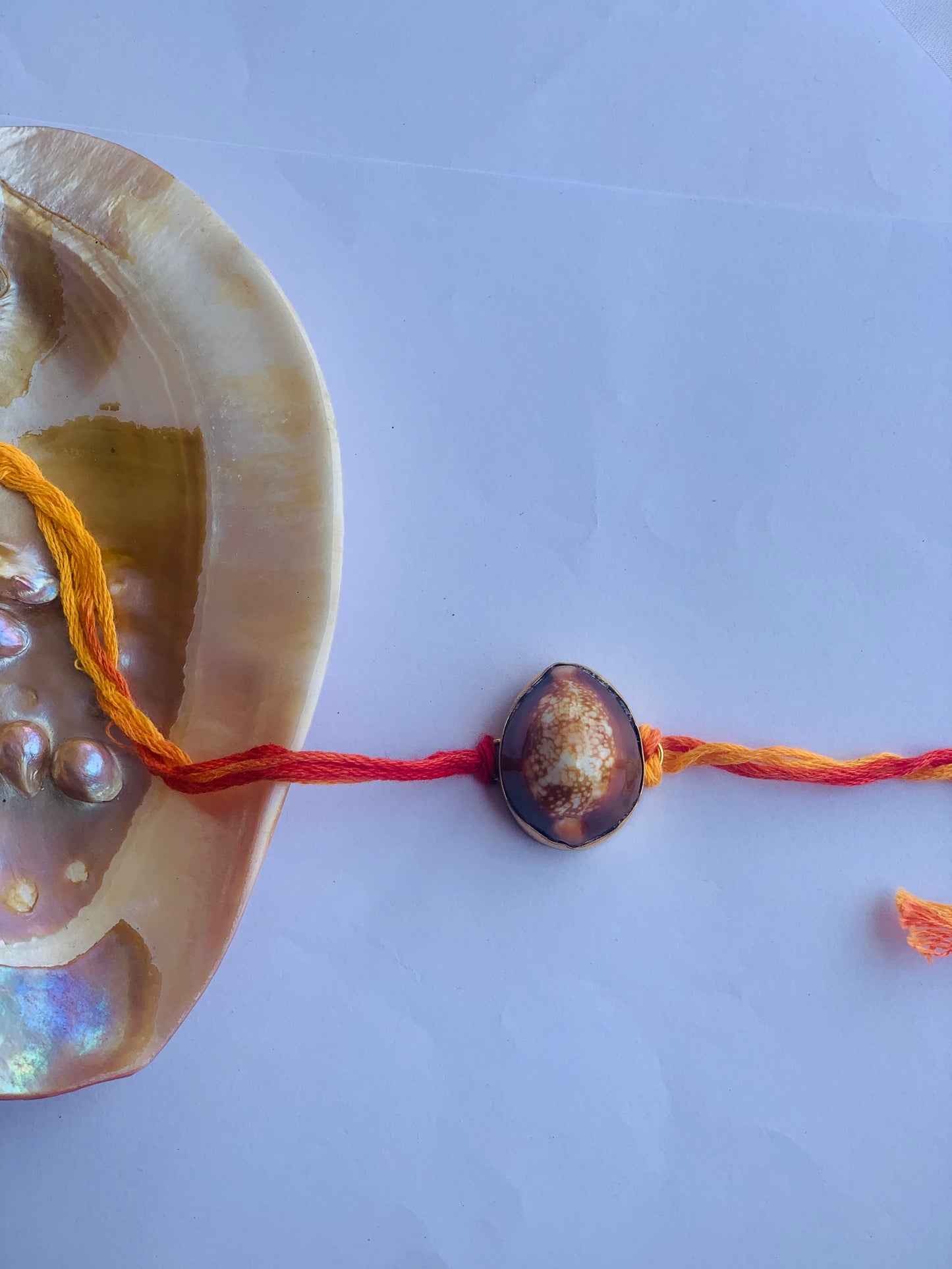 kodi in brass metal 18k gold plated