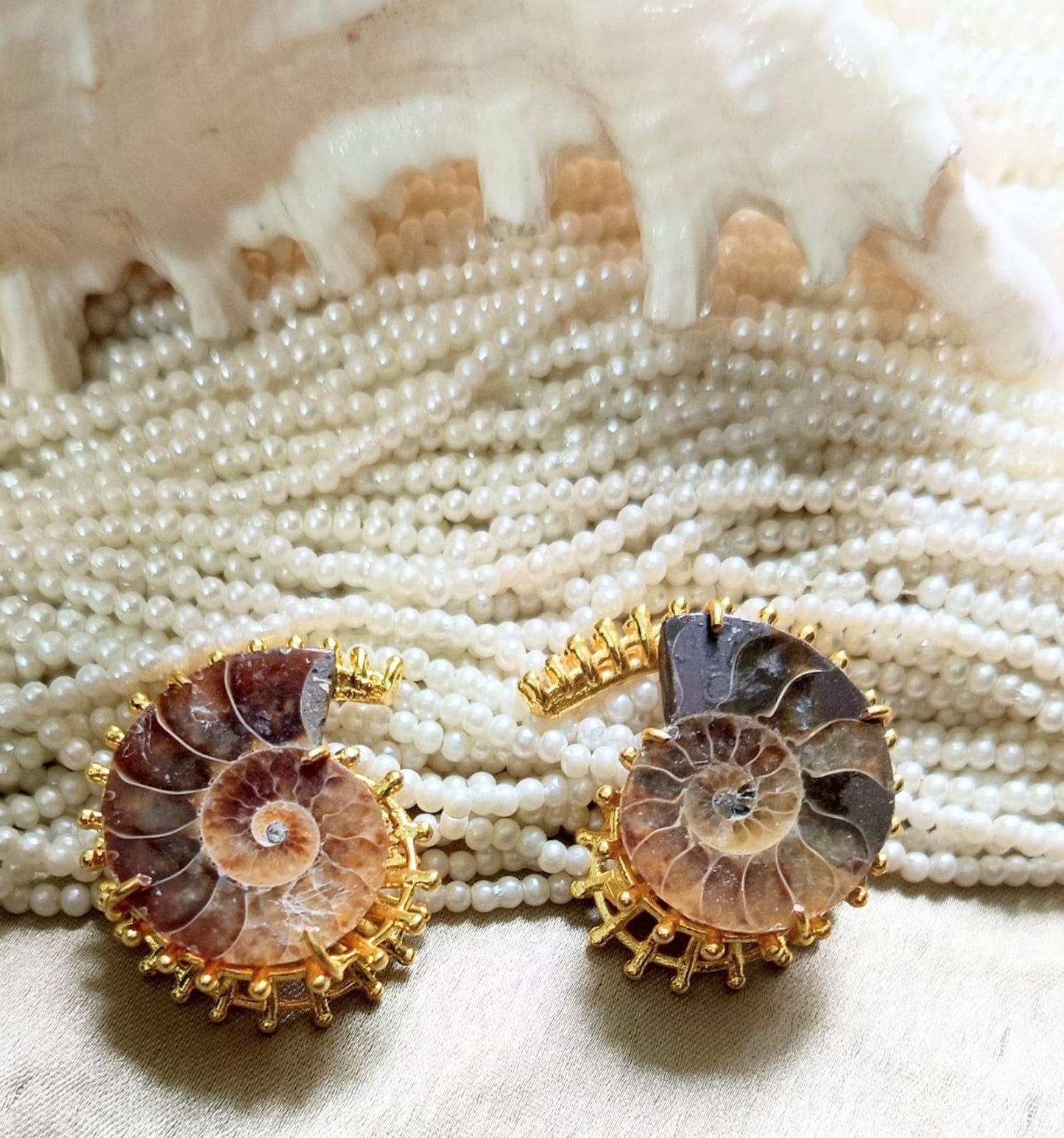 Ammonite Earring