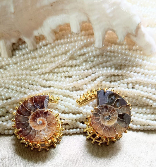Ammonite Earring